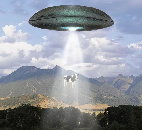NLO vanzemaljska letelica UFO otima zemljanina NLO vanzemaljska letelica UFO otima zemljanina