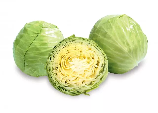 Zeleni kupus za kiseljenje kaca kiseli ribanac