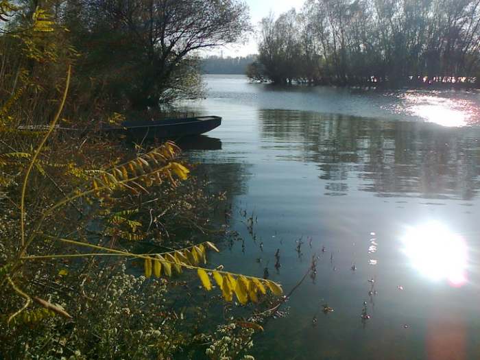 Reka Sava treking i vikend šetnja pored Save 001