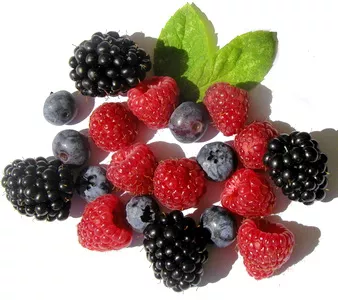 Domaći džem od šumskog voća marmelada uksan pekmez od jagode višnje maline Domaći džem od šumskog voća marmelada uksan pekmez od jagode višnje maline