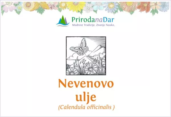 Nevenovo ulje Priroda na Dar - prirodno ulje od nevena Nevenovo ulje Priroda na Dar - prirodno ulje od nevena