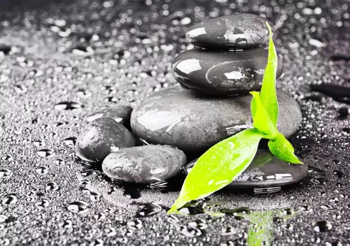 Vreme i svest - Branko Micić Vreme i svest - Branko Micić