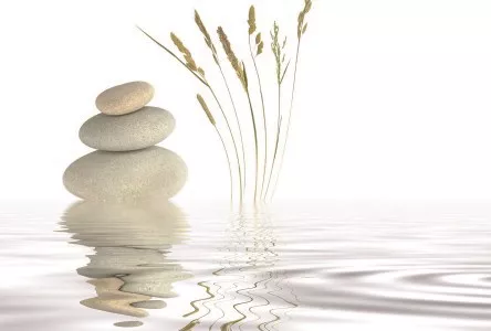 Zen priče - Učenje o ćutanju Zen priče - Učenje o ćutanju