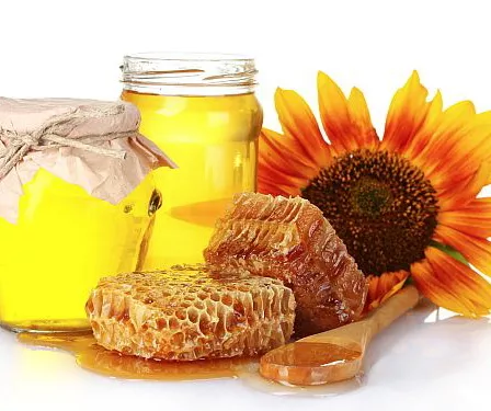 Propolis je prirodni antibiotik - opis, delovanje, primena, lečenje Propolis je prirodni antibiotik - opis, delovanje, primena, lečenje