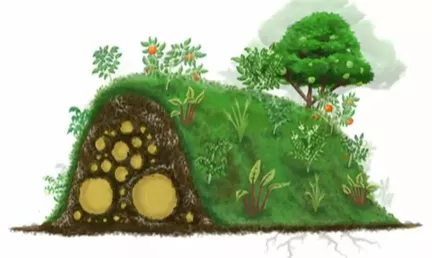 My vision for a responsible, natural life - Open letter of Sepp Holzer My vision for a responsible, natural life - Open letter of Sepp Holzer