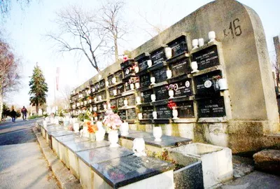 Imaju li reklame dušu - Učlanite se na vreme pa umrite na miru Imaju li reklame dušu - Učlanite se na vreme pa umrite na miru