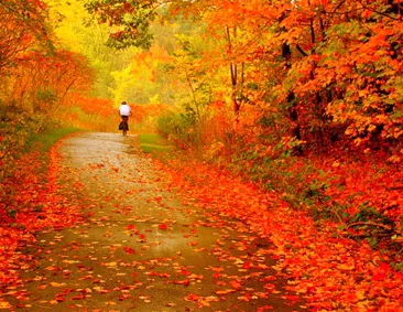 Kako uživati u životu - šetnja Kako uživati u životu - šetnja