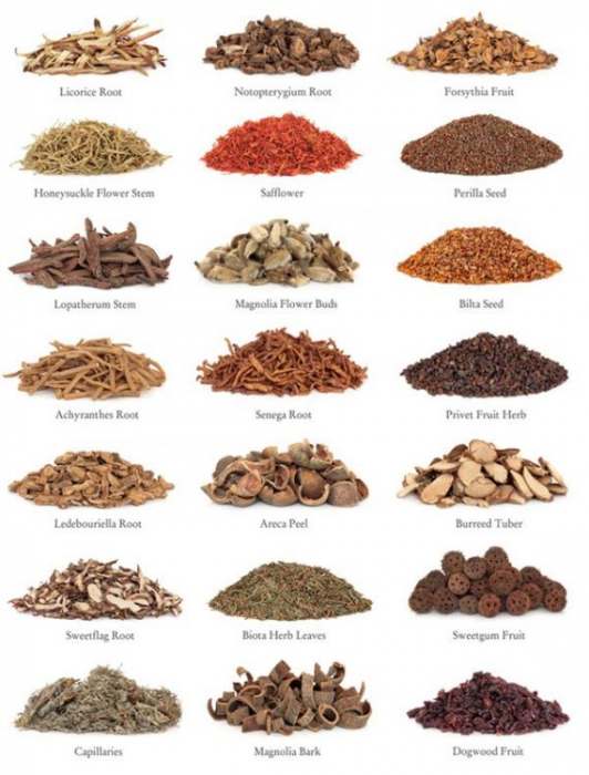The European Commission And Prohibited Herb Therapy And Herbal Drugs