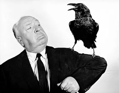 Narodne izreke i poređenja čoveka sa životinjom - Kradljiv kao vrana Alfred Hičkok i vrana Narodne izreke i poređenja čoveka sa životinjom - Kradljiv kao vrana Alfred Hičkok i vrana