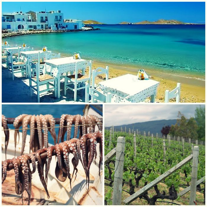 Kako da izaberete letovanje u Grčkoj baš po Vašoj meri? Paros
