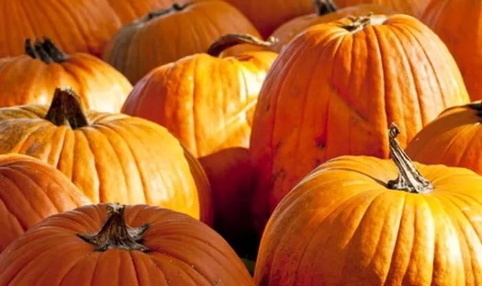 Poslovice o dobru - šta je dobro u narodu tikve Poslovice o dobru - šta je dobro u narodu i zrele tikve