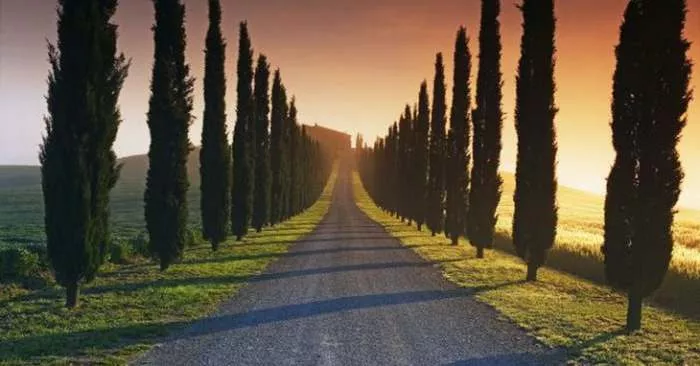 Asfalt - kratka priča Asfalt - kratka priča