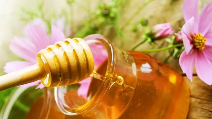 Honey - different natural honeys and healing potential Honey - different natural honeys and healing potential
