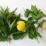 Najbolji sok za imunitet, detoksikaciju tela, dijetu, artritis, jetru sastojci soka