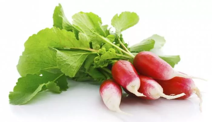 Prirodni lek za kamen u žuči po receptu Marije Treben rotkvica Prirodni lek za kamen u žuči po receptu Marije Treben rotkvica