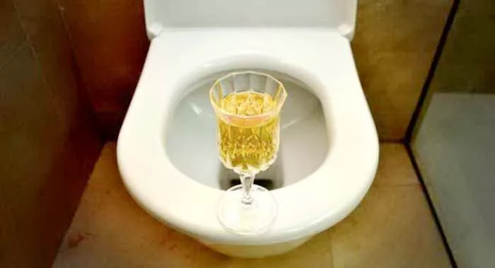 Šta je urinoterapija - istina o lečenju urinom Šta je urinoterapija - istina o lečenju urinom