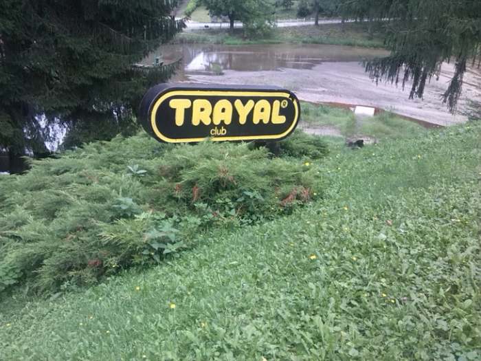 Jastrebac u magli planinarski uspon i detalji sa planine_07