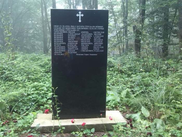 Jastrebac u magli planinarski uspon i detalji sa planine_09