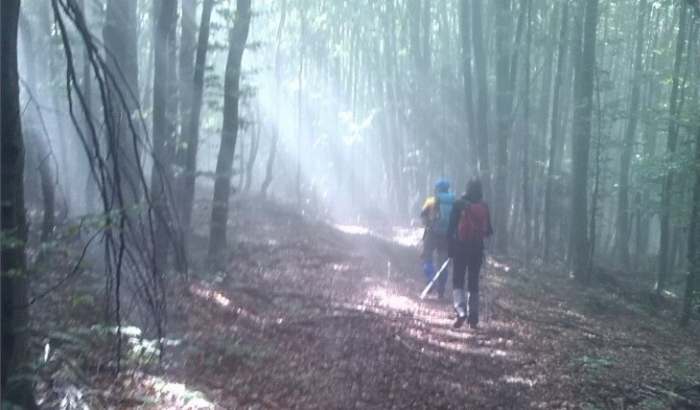 Jastrebac u magli planinarski uspon i detalji sa planine_10