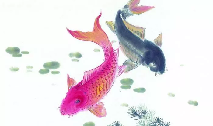 Kao riba koja je pronašla vodu - kineska poslovica