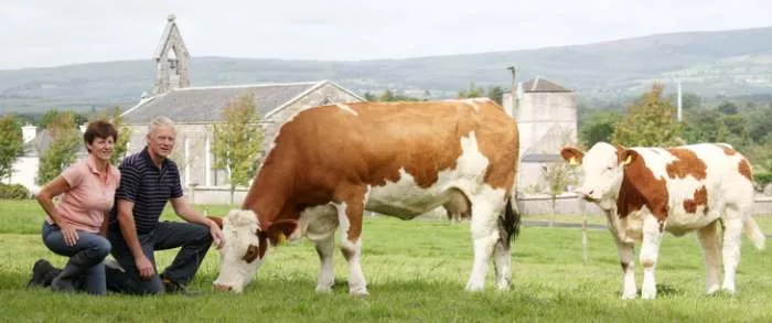 Savremeno govedarstvo u Austriji i Nemačkoj - stručna poseta Savremeno govedarstvo u Austriji i Nemačkoj - stručna poseta