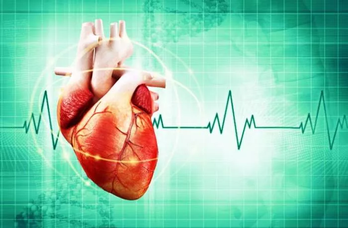 Srce u radu, srčani mišić i srčane smetnje bolesti Srce u radu, srčani mišić i srčane smetnje