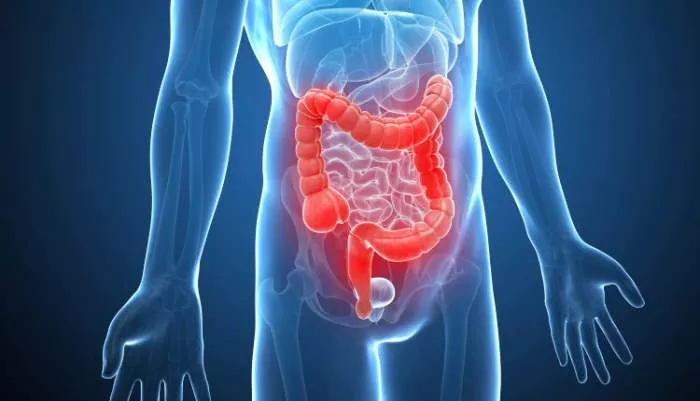 Čišćenje debelog creva - klistir i kako da očistite debelo crevo Čišćenje debelog creva - klistir i kako da očistite debelo crevo