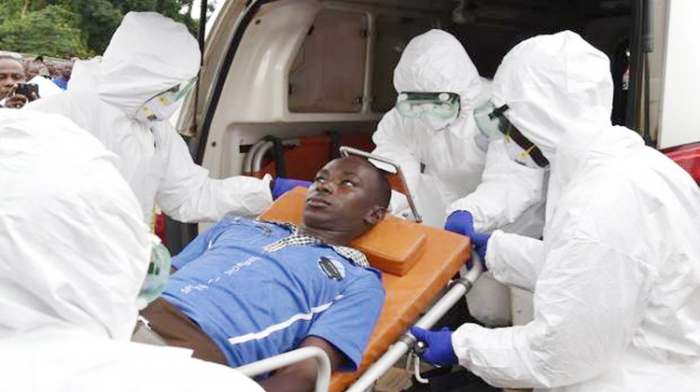 Virus ebole - šta je ebola i kako se izlečiti od virusa koji ubija Virus ebole - šta je ebola i kako se izlečiti od virusa koji ubija