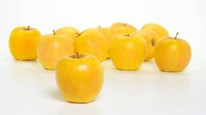 Vitamin A - činjenice o vitaminu A, kako se dobija i koristi Vitamin A - činjenice o vitaminu A, kako se dobija i koristi