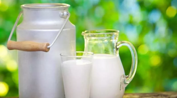 kako se dobija Vitamin B2 i činjenice o vitaminu B2 kako se dobija Vitamin B2 i činjenice o vitaminu B2