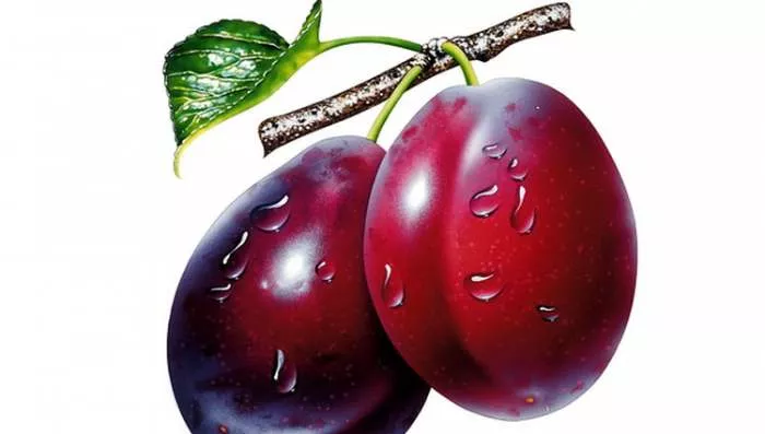 Pesma Oda šljivi pekmezu i rakiji Pesma Oda šljivi pekmezu i rakiji