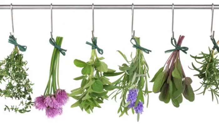 Vrhunska tinktura i biljne kapi za spavanje, nesanicu i miran san Priroda na Dar Vrhunska tinktura i biljne kapi za spavanje, nesanicu i miran san Priroda na Dar