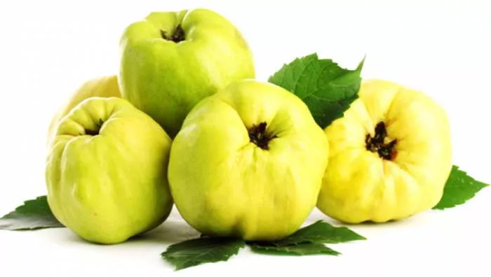 Šta sve leči dunja - Sok od dunje Pečena ili kuvana dunja leči kašalj i malokrvnost Šta sve leči dunja - Sok od dunje Pečena ili kuvana dunja leči kašalj i malokrvnost