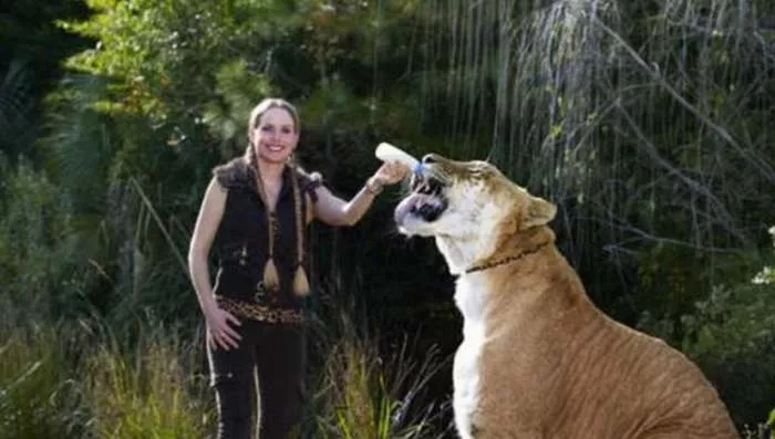 Životinje i ljudi u neobičnim situacijama Životinje i ljudi u neobičnim situacijama