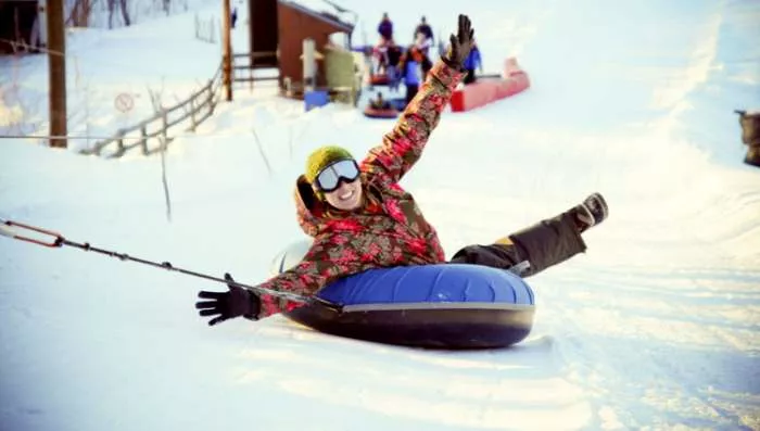 Čaj od šljiva - Zimski sunovrati Čaj od šljiva - Zimski sunovrati