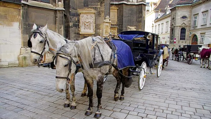 Austrija ili pronadjite pravu destinaciju u alpskoj zemlji Austrija ili pronadjite pravu destinaciju u alpskoj zemlji