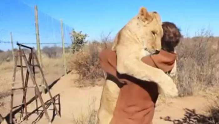 Neverovatna ljubav lavice i čoveka Neverovatna ljubav lavice i čoveka