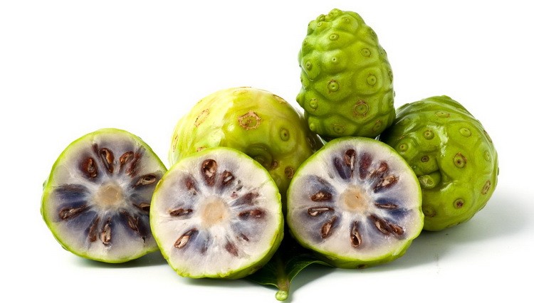 Noni voće - Kraljica zdravlja sa Havaja Morinda citrofolia noni-fruit Noni voće - Kraljica zdravlja sa Havaja Morinda citrofolia noni-fruit