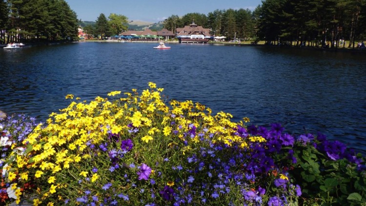 zlatibor jezero