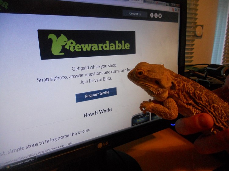 Rewardable