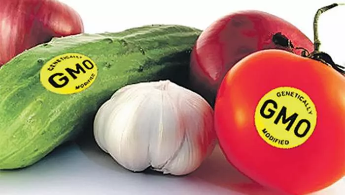 Srbija bez GMO hrane Srbija bez GMO hrane