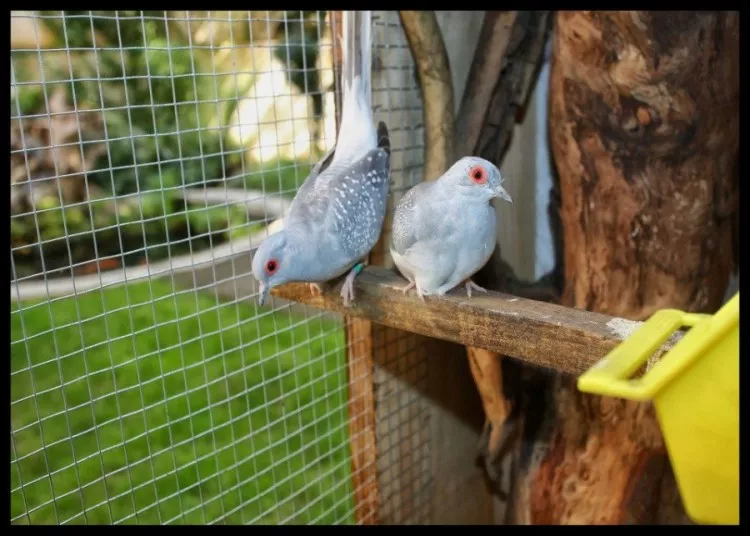 Dečija bašta dobre volje nastala od rugla 9