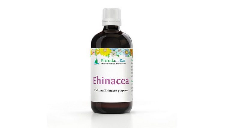 Tinktura Ehinacea kapi za imunitet
