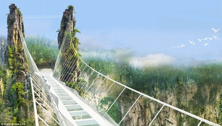 Glass bridge in China 6