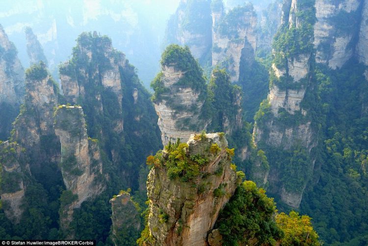 Glass bridge in China 7
