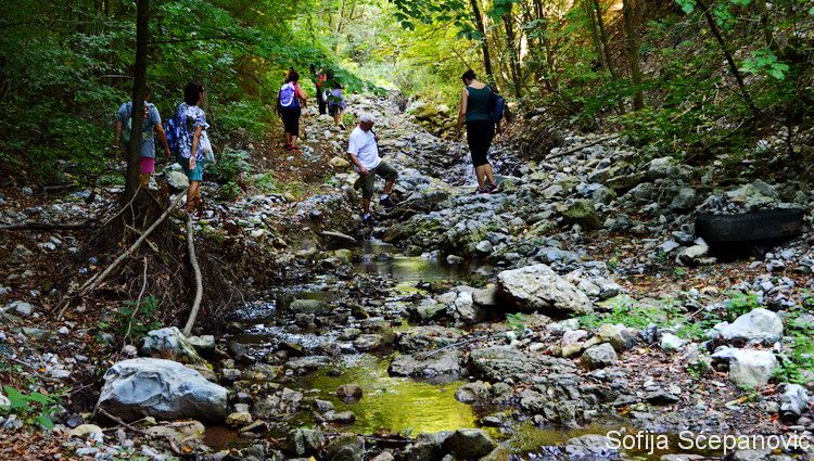 Sokolovac planinarska šetnja nacionalni park Djerdap_01