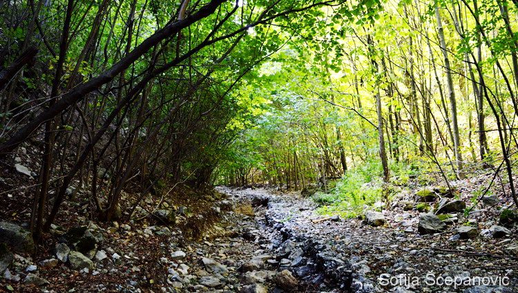 Sokolovac planinarska šetnja nacionalni park Djerdap_02