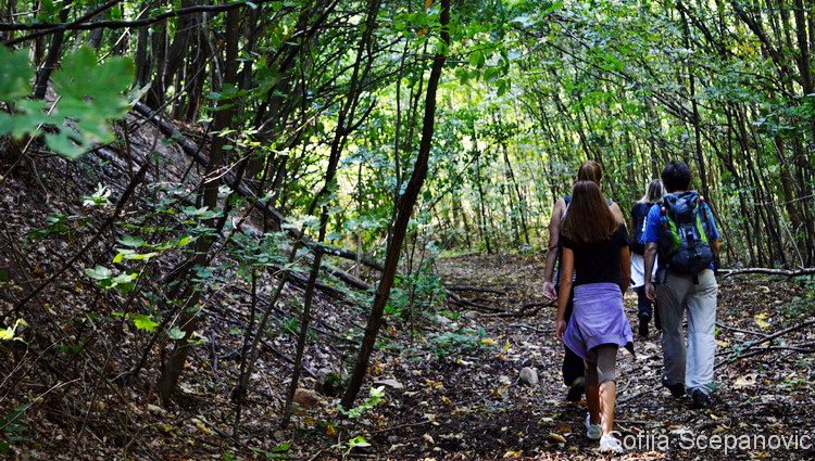 Sokolovac planinarska šetnja nacionalni park Djerdap_03