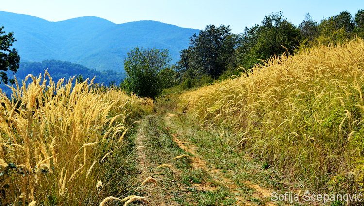 Sokolovac planinarska šetnja nacionalni park Djerdap_07