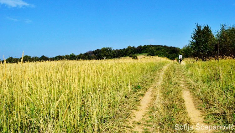 Sokolovac planinarska šetnja nacionalni park Djerdap_08